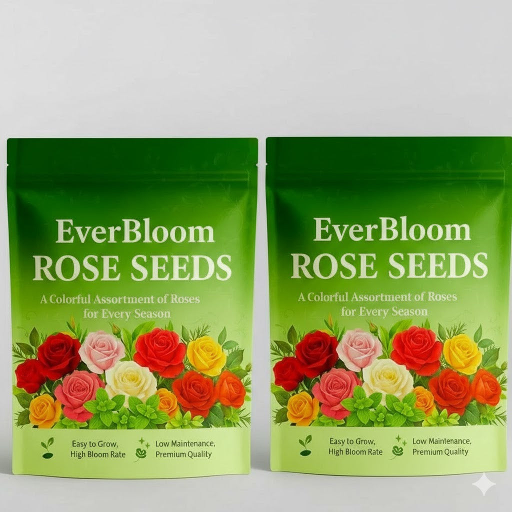 Climbing Rose Seeds (60+ Multicolour seeds) – JAZZKART